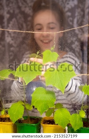 A teenage girl takes care of plants. The garden of the house. Spring. View through the window.