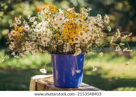 A bouquet of daisies and St. John's in a blue bucket on the wooden table, summer background Royalty-Free Stock Photo #2153548403