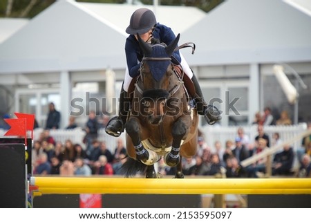 view on an equestrian show jumping competition in the city of Fontainebleau Royalty-Free Stock Photo #2153595097