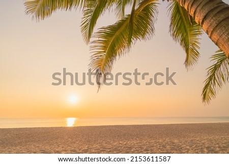 Palm tree at tropical beach on sunset sky abstract background. Summer vacation and nature travel adventure concept. Vintage tone filter effect color style.
