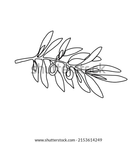 Hand drawn olive branch isolated on white background. Outline olive tree branch for menu, logo, greeting cards, patterns, web. Line art, one line doodle olive branch.