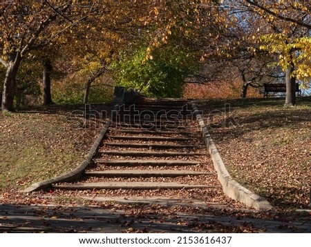Autumn leaf-covered concrete stairs flanked on both sides with mature trees in full fall colors. Royalty-Free Stock Photo #2153616437