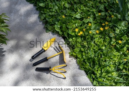 Bright yellow metal gardening tools on a garden path, copy space. Shovel, chopper and rake. Work in the garden. Meadow with yellow flowers.
