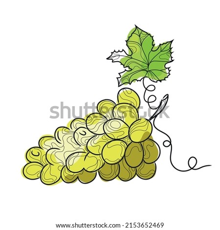 Line art abstract grape bunch isolated on white background.Hand drawn sketched white grape with leaf.Design emblem,icon,logo,Vector illustration.