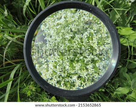 magnifying glass magnification greatness vision glass photo