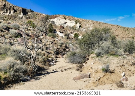 Sandy dry riverbed along the Barber Peak Trail, close to Hole-in-the-wall-campground in Mojave National Preserve, California, USA
 Royalty-Free Stock Photo #2153665821