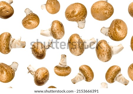 Champignon, mushroom isolated on white background, SEAMLESS PATTERN.