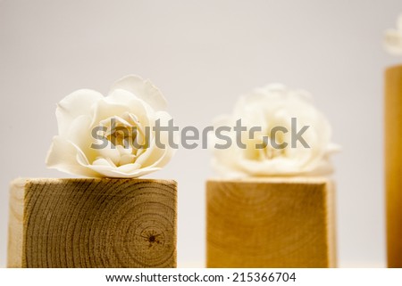 Wooden geometrical pieces with white roses and light grey background 