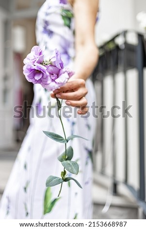 A graceful female hand holds a lilac eustoma flower. An unknown woman in a bright dress. Female silhouette. Selective focus. Vertical shot.