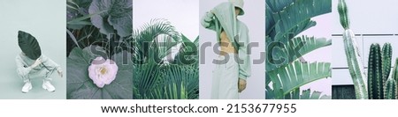 Set of trendy aesthetic photo collages. Minimalistic images of one top color. Plant Green eco moodboard
