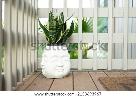 Snake plant in laughing buddha pot on deck with white railing Royalty-Free Stock Photo #2153693967