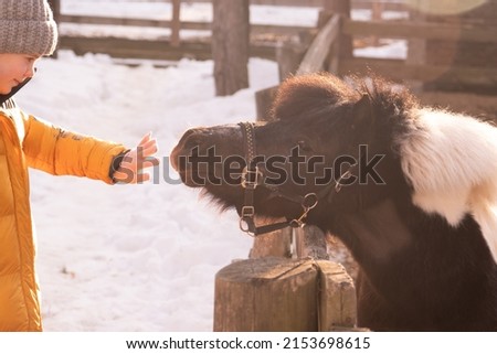 The child holds out his hand to the pony. The relationship between pet and child. Child in winter clothes, snow. Warm sun rays. Love and understanding. Good emotions