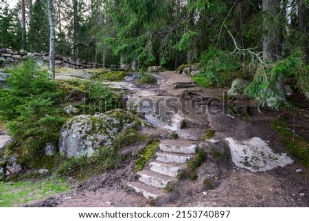 stone path. beautiful forest and fresh air. sandy path. walk along the trail through the forest