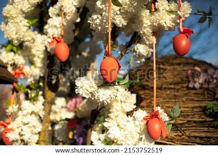 Easter eggs hang from tree. Decoration for holiday. Eggs on ribbons hang from tree. Spring background.