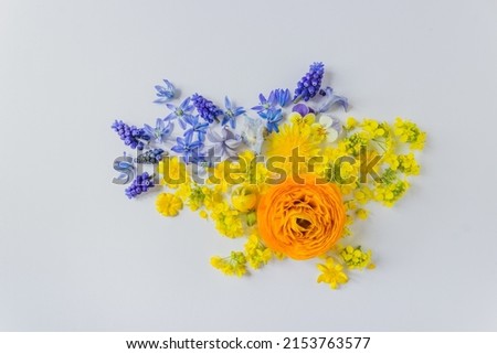 Map of Ukraine made of blue and yellow spring flowers, isolated on white background. Save peace in Ukraine, stop war.
