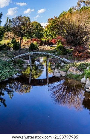 Beautiful japanese garden and parklands, garden chair in the spectacular autumn season of 2022 in Sydney, Australia
