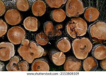 Carefully sawn and stacked wooden logs