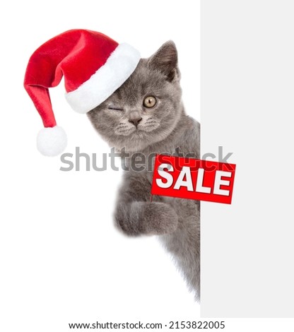 Winking cat wearing a red christmas hat holds sales symbol behind empty banner. isolated on white background
