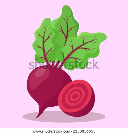 Illustration of beet fruit with flat style Royalty-Free Stock Photo #2153856853