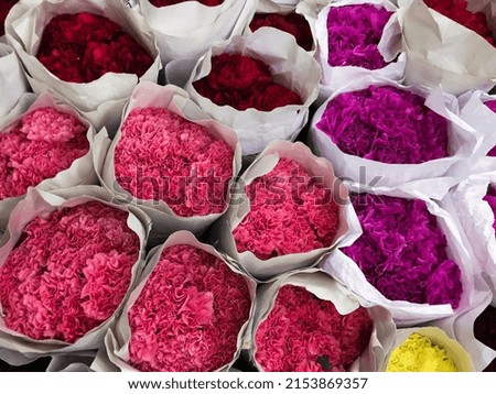 Assortment of bright colorful carnation flowers in shop

