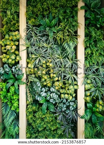 Vertical green wall with wooden fence background, Artificial decorative interior wall. Close up variety leaves backdrop. Royalty-Free Stock Photo #2153876857