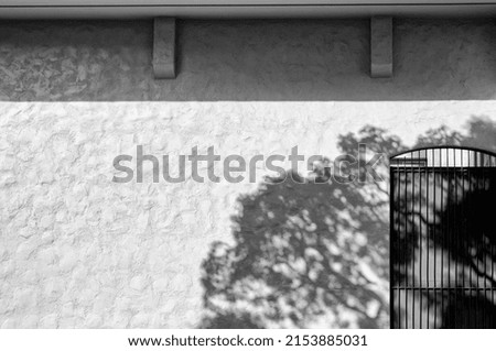  Adobe Wall Hacienda with Gate and Tree Shadow in Black and White.