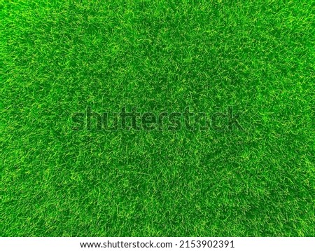 Green grass texture background grass garden concept used for making green background football pitch, Grass Golf, green lawn pattern textured background.	
