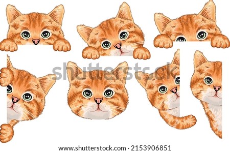 Cute brown peeking cat illustration bundle. Set of curious cat. Tabby cat.