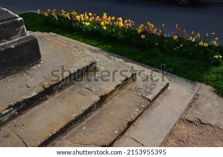 the flowerbed is made up of tulips and perennials, a long strip along the sidewalk made of beige cobblestones.around the lawn.city street