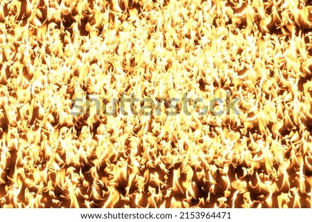 Fire, burning flame. Background image. Bright tongues of flame blazing all over the surface.                               