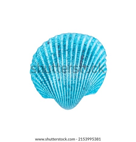 Blue seashell isolated, Editable, Tropical summer background