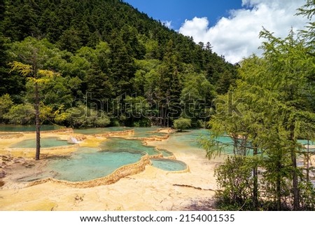 Landscape size picture of the gorgeous yellow calcite terraces of the UNESCO's World Heritage site Huanglong Scenic Area behind the trees with turquoise water pools, copy space for text 