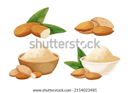 Set almond in nutshell with leaves detailed raw nut, almond powder in bowl organic product, ingredient in cartoon style isolated on white background. Ripe plant, snack. Royalty-Free Stock Photo #2154023485
