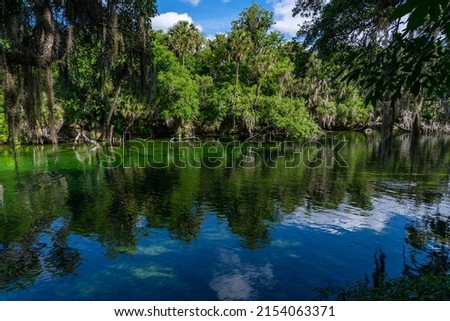 Clear water and sunlit Florida forest in Blue Spring State Park. View of the river with warm thermal water, rich natural beauty, rich history and wonderful amount of wildlife.