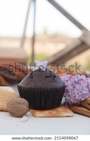 Chocolate cupcake and lilac, outdoor photo
