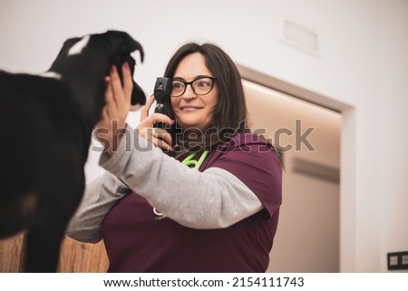 A female veterinarian doing an eye examination by ophthalmoscope to a dog.veterinary ophthalmology concept. Royalty-Free Stock Photo #2154111743