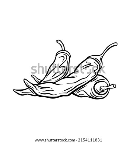 Dried Mexican Peppers outline icon. Dried Drawn monochrome Numex Espanola Improved chile peppers vector icon. Royalty-Free Stock Photo #2154111831