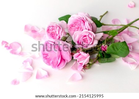 Pink Damask rose buds.Ingredients for natural cosmetics, oils and jams.Isolated on white background. Royalty-Free Stock Photo #2154125995