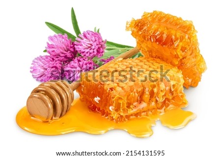 Honeycombs and honey puddle with clover or trefoil flower isolated on white background with clipping path and full depth of field