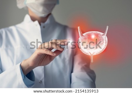 Female doctor touches virtual Bladder in hand. Blurred photo, handrawn human organ, highlighted red as symbol of disease. Healthcare hospital service concept stock photo Royalty-Free Stock Photo #2154135913
