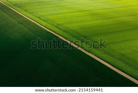 Colorful patterns in crop fields at farmland, aerial view, drone photo. Abstract geometric shapes of agricultural parcels of different crops  green colors. Aerial view shoot from drone.  Royalty-Free Stock Photo #2154159441