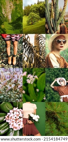 Set of trendy aesthetic photo collages. Minimalistic images of one top color. Country style fashion moodboard