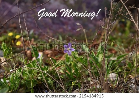 "Good Morning!" postcard template with small wild flower