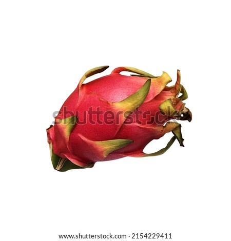 Fresh dragon fruit, pitaya isolated white background, bright pink coloured tropical delicious vegetarian food full of vitamins, clipping path image