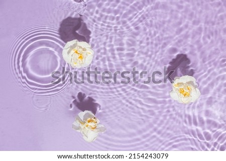 Natural floral pattern with white flowers floating in water on pastel purple background. Reflections of sun and shadows. Spring or summer wallpaper. Blooming texture or spa concept. Minimal flat lay. Royalty-Free Stock Photo #2154243079