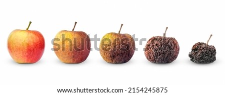Life circle of apple fruit from fresh to rotten isolated on white background Royalty-Free Stock Photo #2154245875