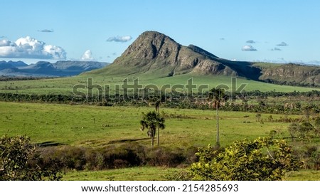 A mountain surrounded by trees typical of of the cerrrado biome in west-central Brazil. Landscape. Moriche palm. Chapada. Maytreia Rock. Nature photographer. Life In Nature Royalty-Free Stock Photo #2154285693