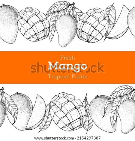 Mango fruit hand drawn package design. Vector illustration. Sketch for design, brochure illustration. Vintage retro design.Hand drawn sketch style mango banner. Organic fresh fruit vector illustration
