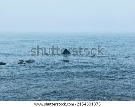The stillness of this picture leaves you imagining a great white shark swimming by.
