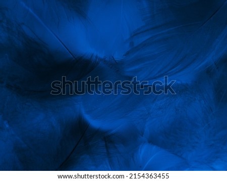 Beautiful abstract blue feathers on black background, black feather texture and blue background, feather wallpaper, blue texture banners, love theme, valentines day, light blue texture, dark gradient Royalty-Free Stock Photo #2154363455